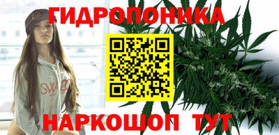 шишки Ливны