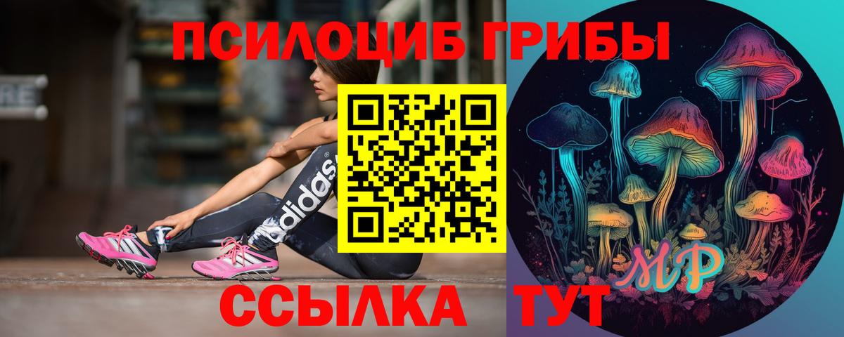 Псилоцибиновые грибы GOLDEN TEACHER Дивногорск